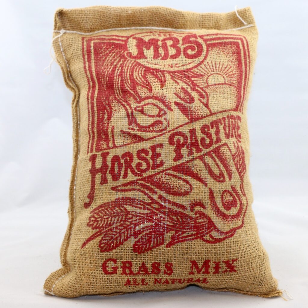 Horse Pasture Grass Mix - 10 lb bag | MBS Seed