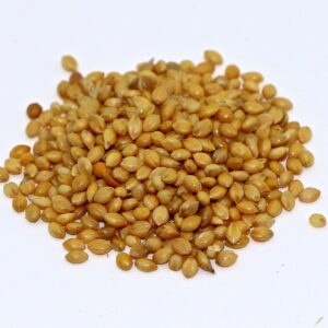 German Strain ‘R’ Foxtail Millet – 50 lb bag