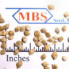 Japanese Millet Seed