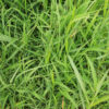Tank Dam & Erosion Control Mix