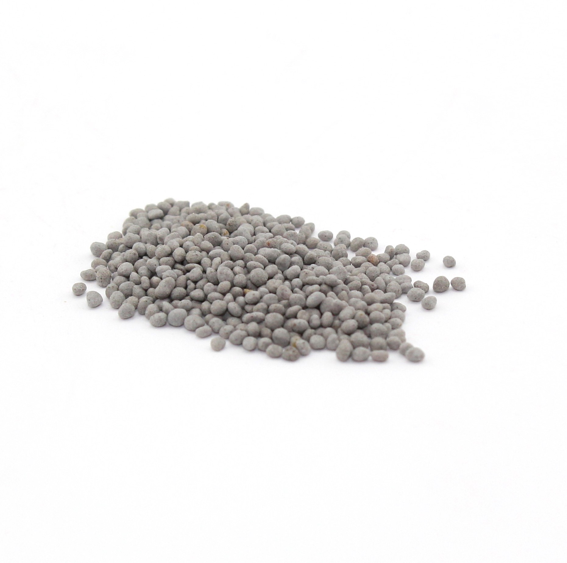 Balady 1 Berseem Clover 50 lb bag