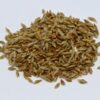Unhulled Common Bermudagrass Seed