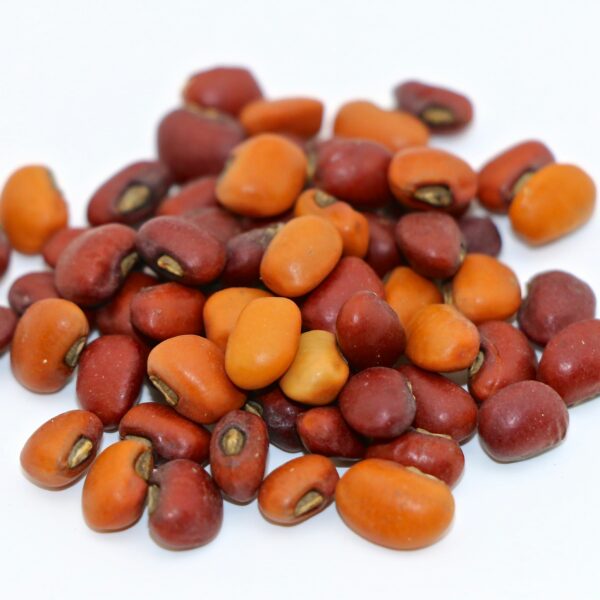 Iron & Clay Mixed Cowpea Seed