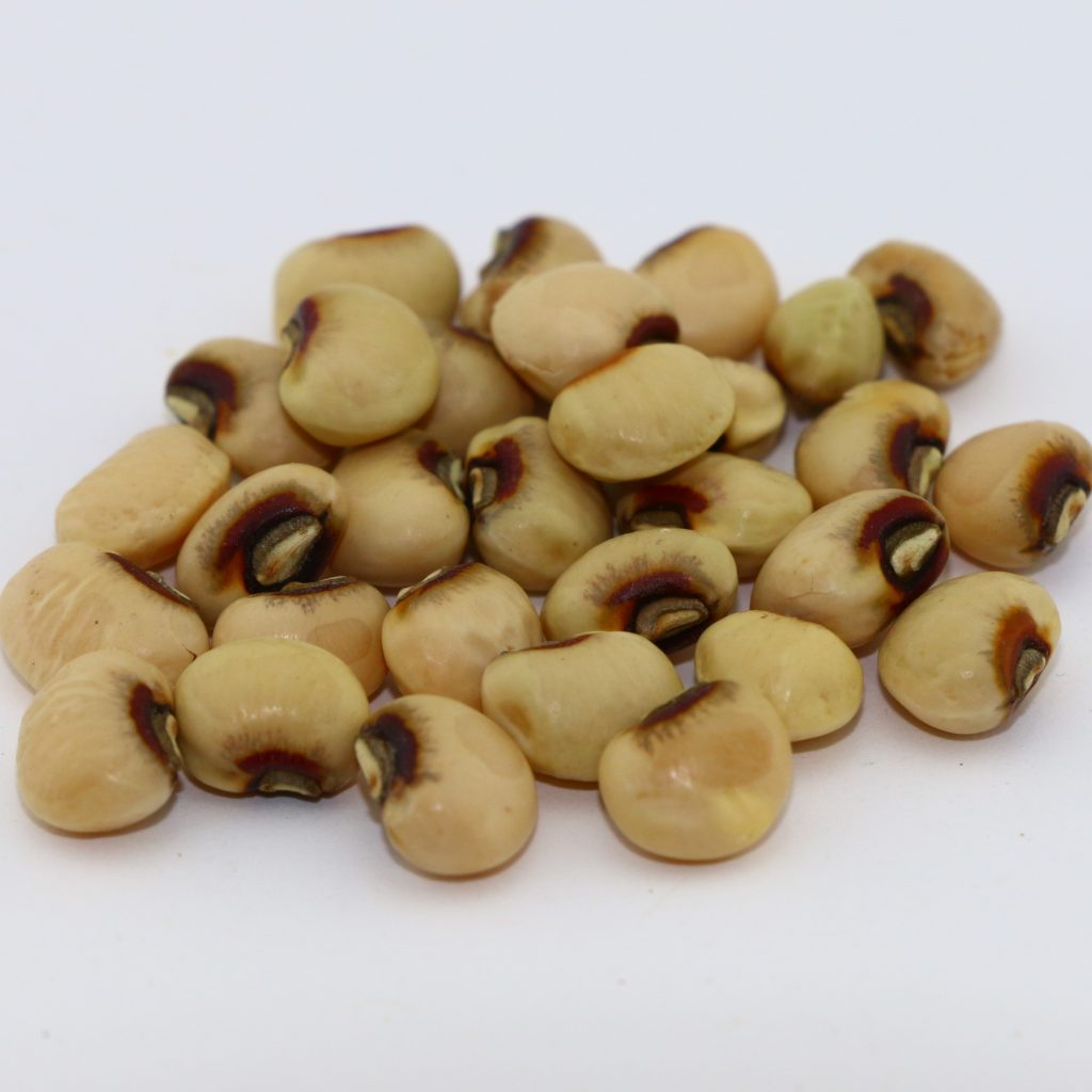 Iron & Clay Mixed Cowpeas 50 lb bag MBS Seed