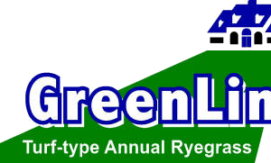 GreenLink Turf-Type Annual Ryegrass – 50 lb bag