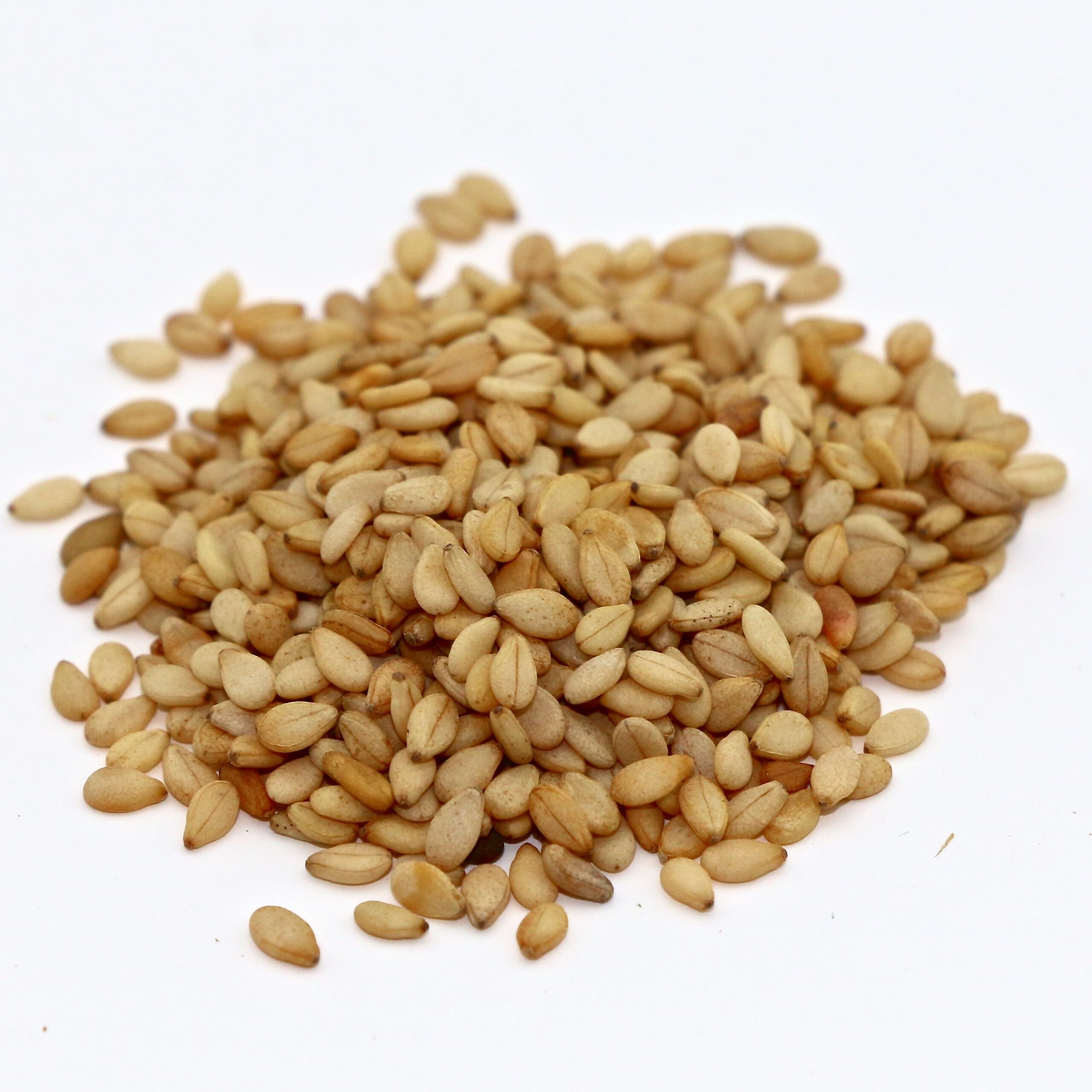 Sesame Seed