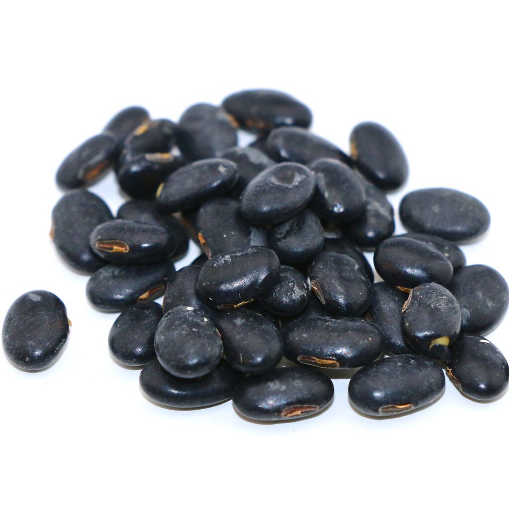 Laredo Soybeans 50 lb bag MBS Seed