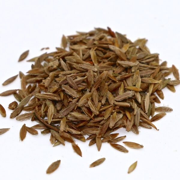 Red River Crabgrass seed