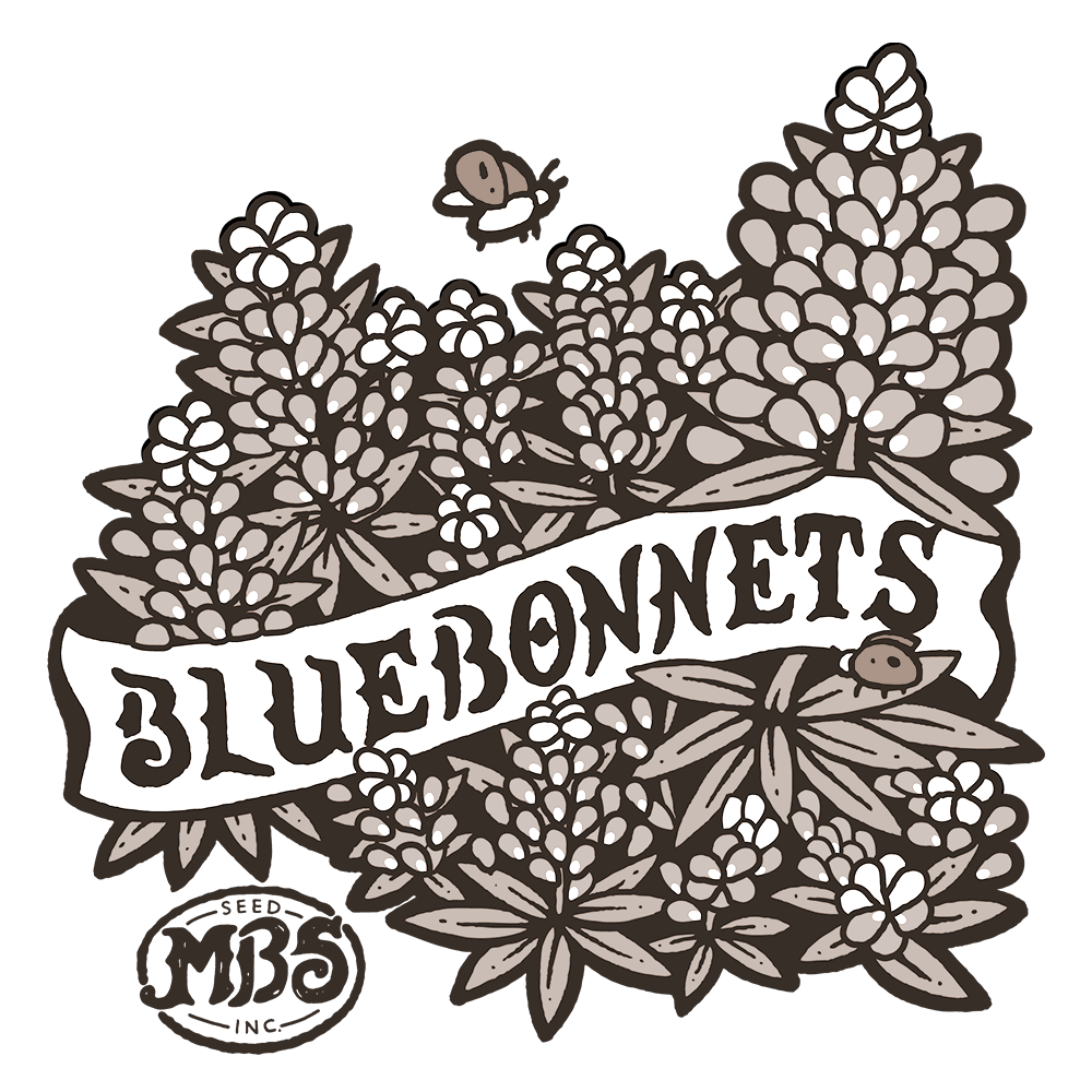 Bluebonnets Logo