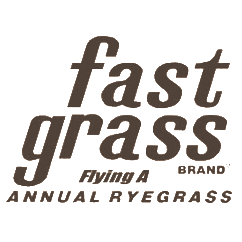 Fast Grass Logo