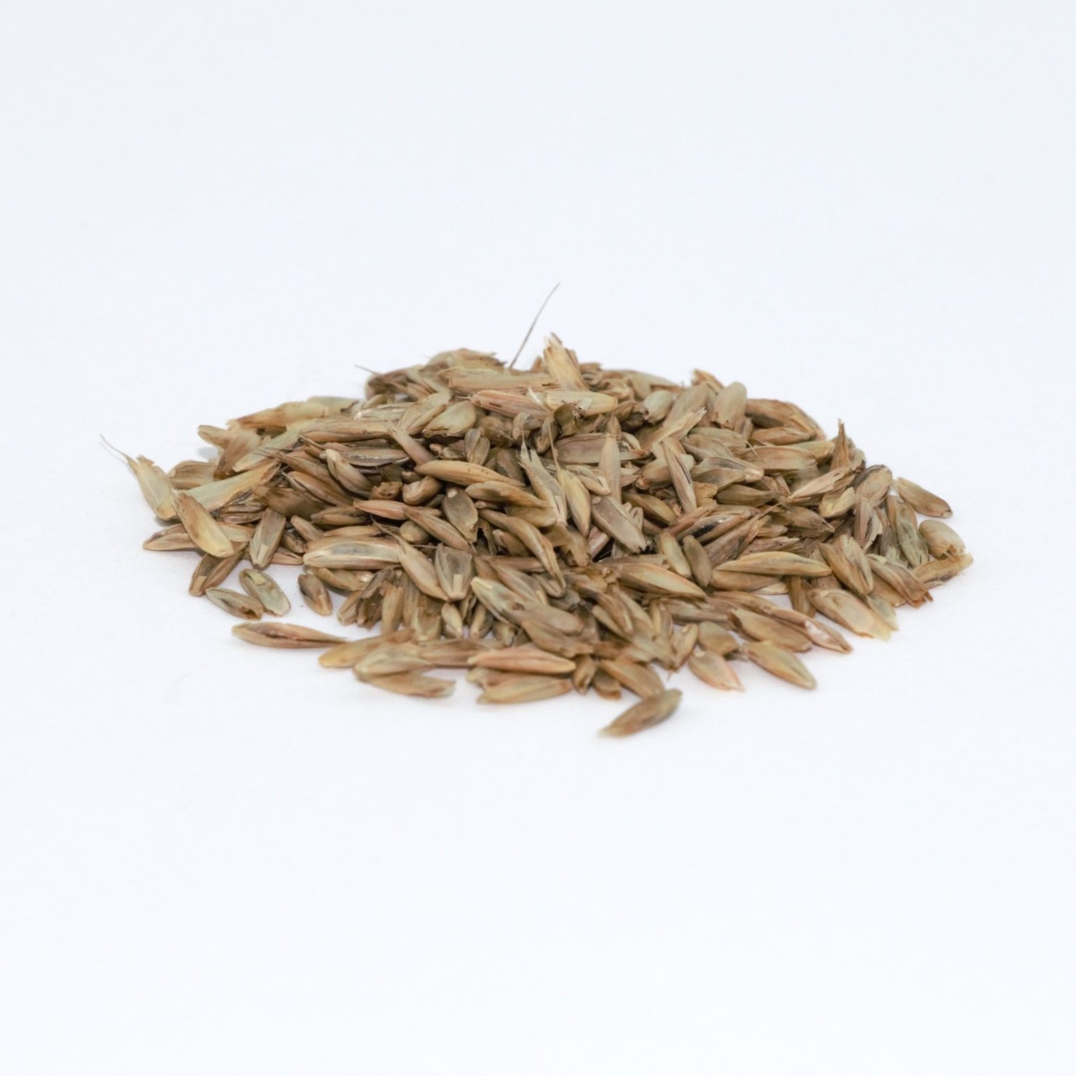 Fastgrass Brand Annual Ryegrass 50 lb bag