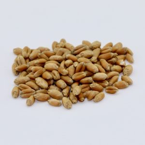Soft Red Winter Wheat Grain – 50 lb bag