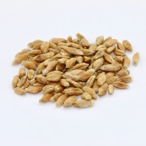 Triticale Grain – 50 lb bag