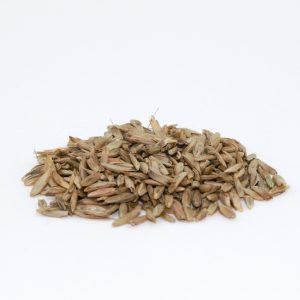Heavyweight Forage Blend Ryegrass Seed – 50 lb bag