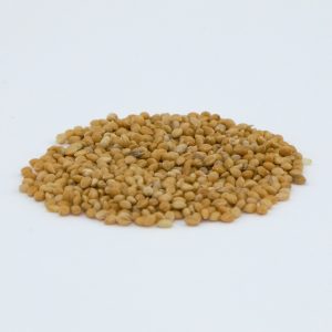 Golden German Foxtail Millet Seed – 50 lb bag