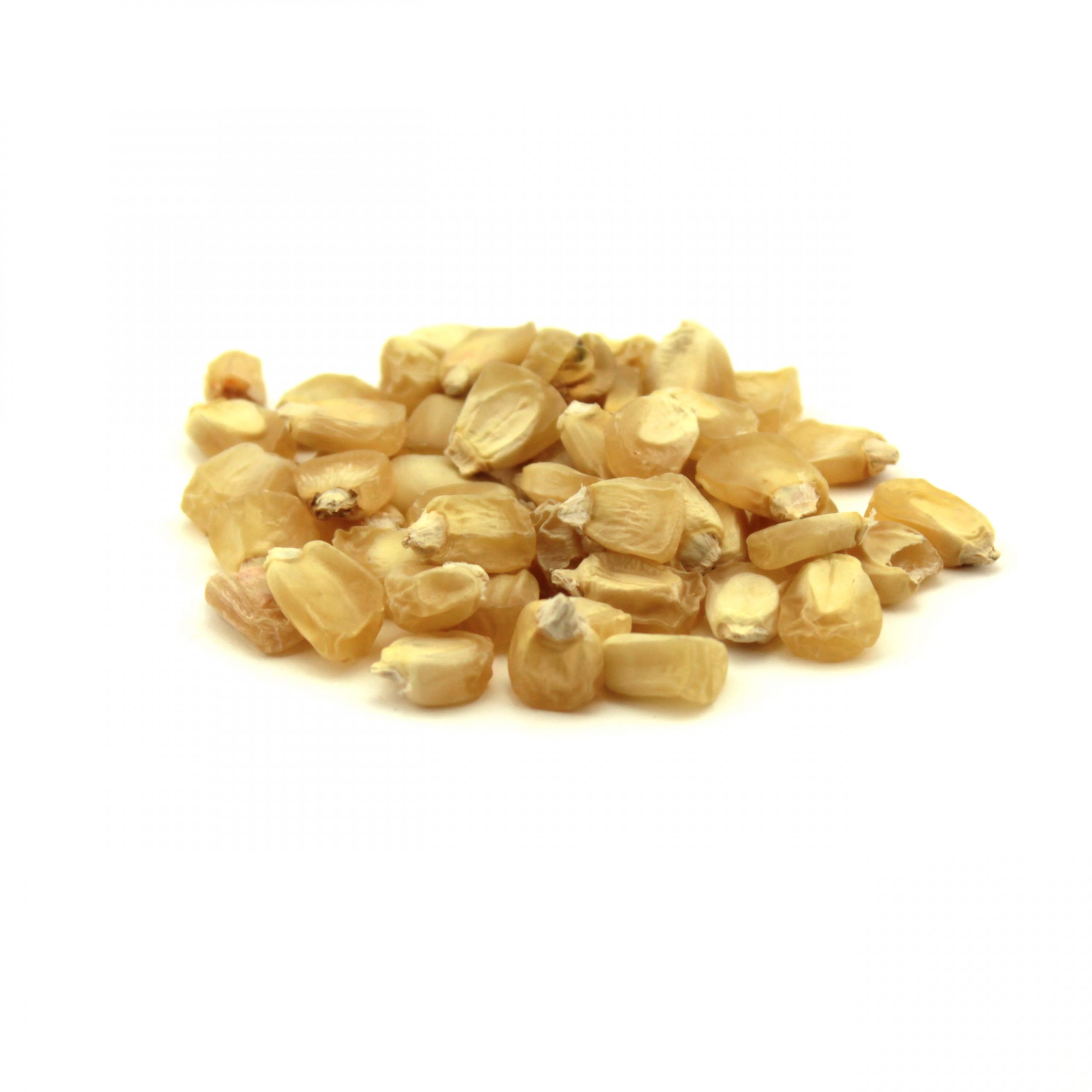 Stowell’s Evergreen Sweet Corn Seed – 50 LB Bag