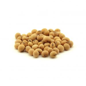 Osage Soybean Seed – 50 lb bag