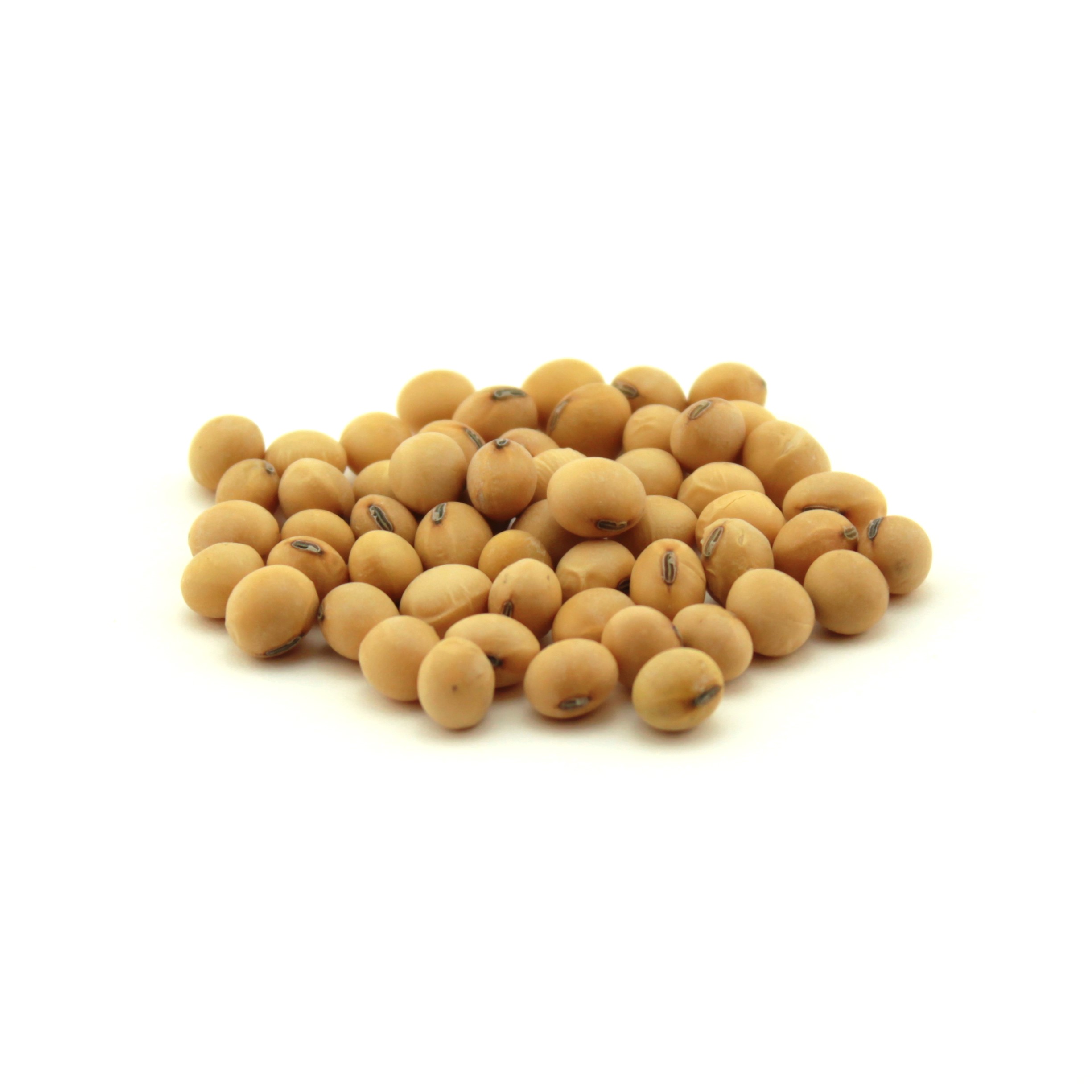 Osage Soybeans – 50 lb bag