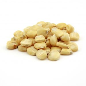 Hickory King White Corn Grain – 50 lb Bag