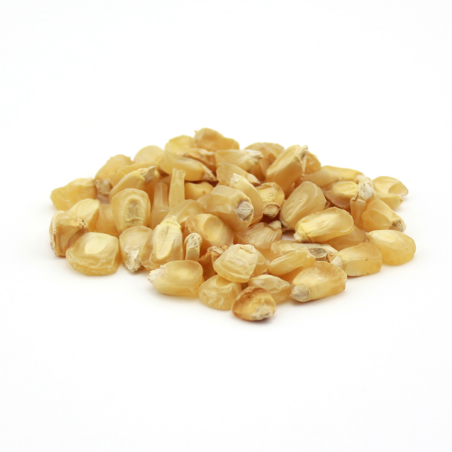 Stowell’s Evergreen Sweet Corn Seed – 50 LB Bag