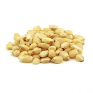 Truckers Favorite White Corn Grain – 50 lb bag