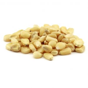 Moseby’s Prolific White Corn Grain – 50 lb Bag