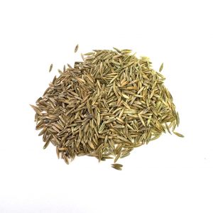 Titan RX Turf-Type Tall Fescue Seed – 25 LB Bag