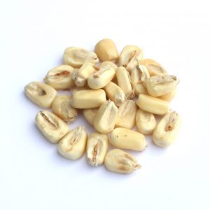 Malted White Corn Grain – 50 lb bag