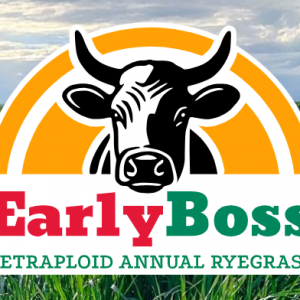 Early Boss Annual Ryegrass Seed – 50 lb bag