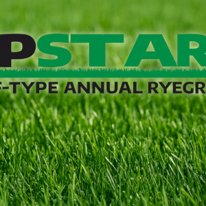 Upstart Turf-Type Annual Ryegrass Seed – 50 lb bag
