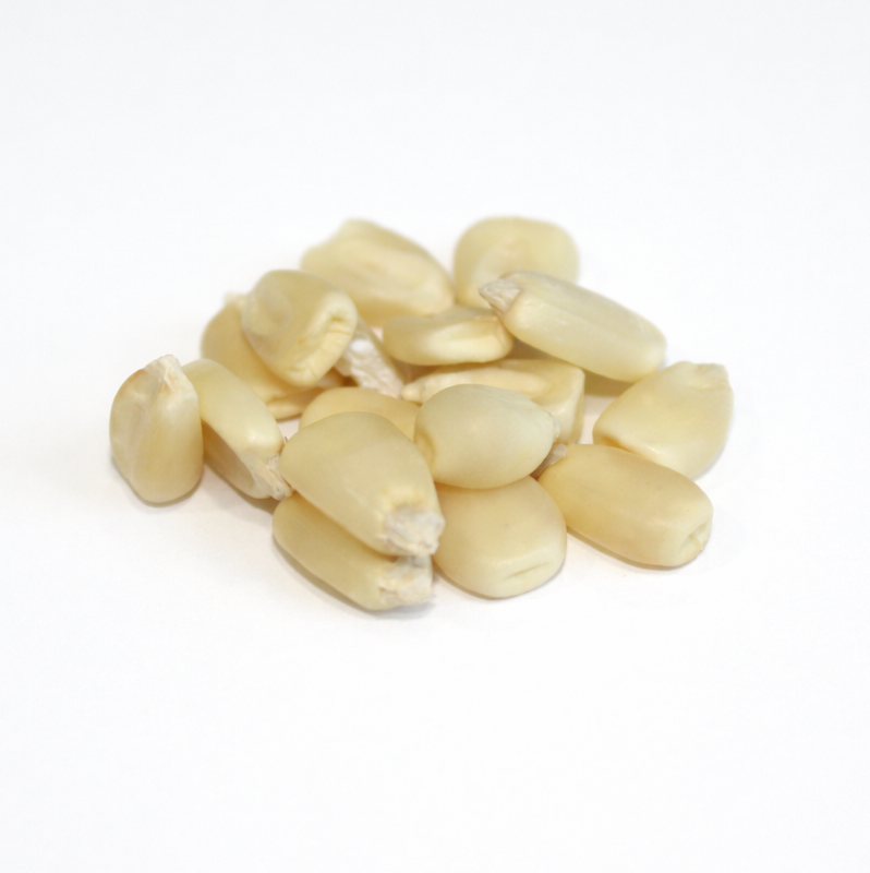 Moseby’s White Prolific Corn Seed – 50 lb bag