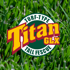 Titan GLX Turf-Type Tall Fescue Seed – 25 LB Bag