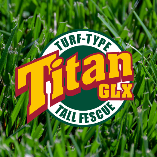 Titan GLX Turf-Type Tall Fescue Seed – 25 LB Bag