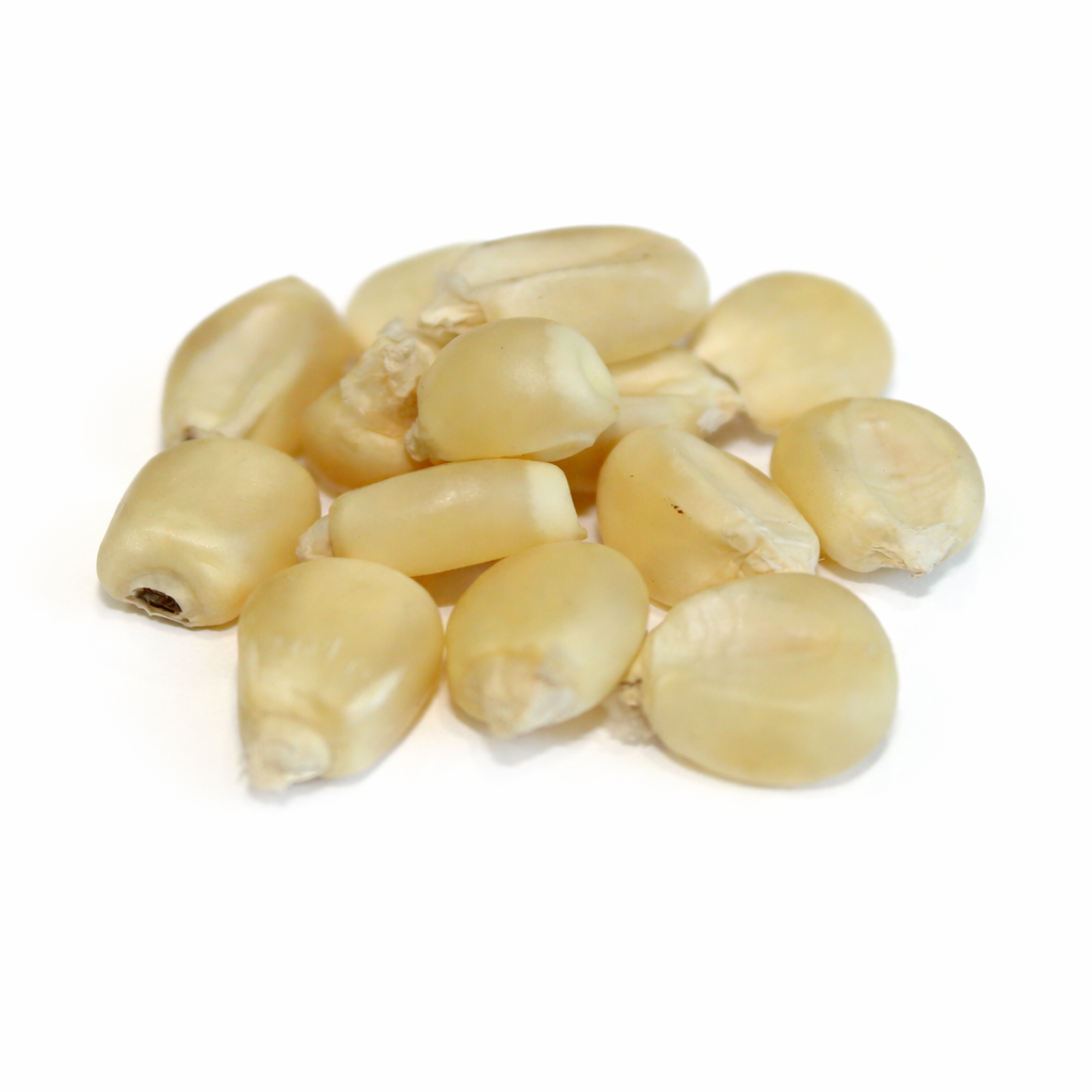 Trucker’s Favorite White Corn Seed – 50 lb bag